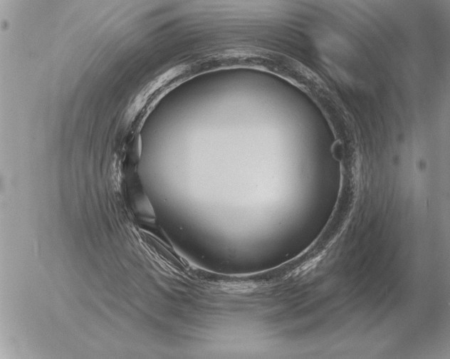 X0000052980825200507221325