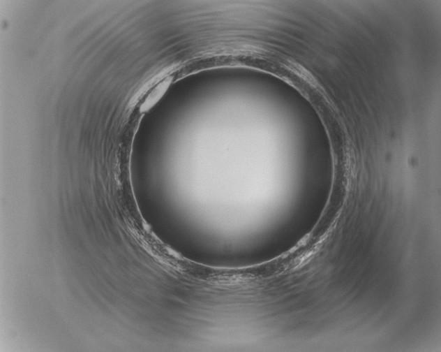 X0000052980826200507221325