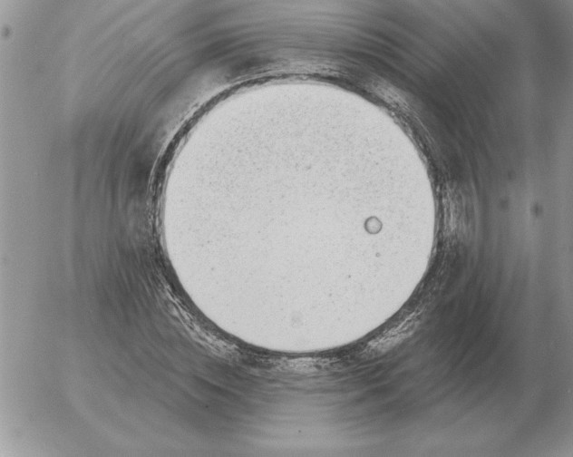 X0000052980828200507221325