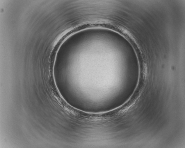 X0000052980829200507221325