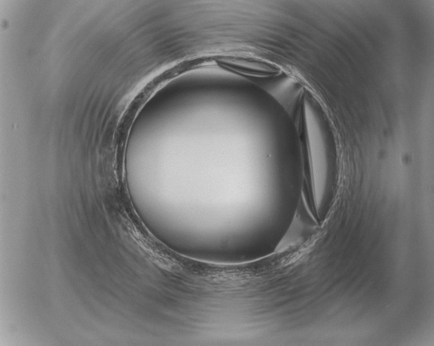 X0000052980830200507221325