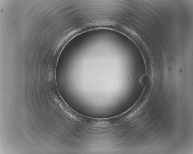 X0000052980833200507221325