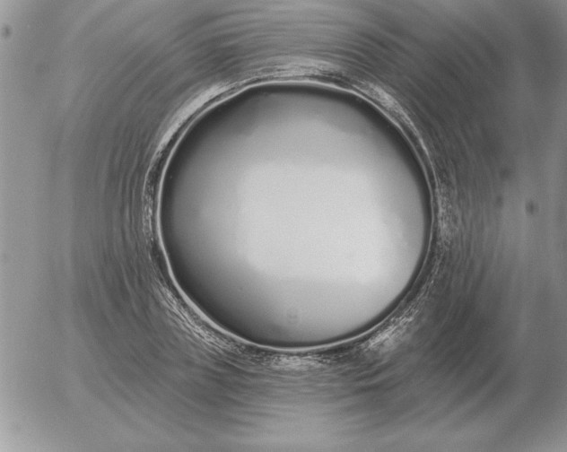 X0000052980835200507221325