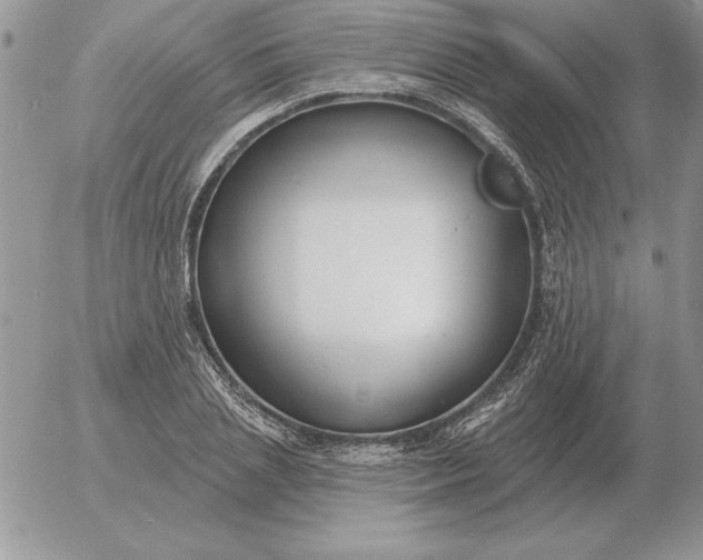 X0000052980837200507221325