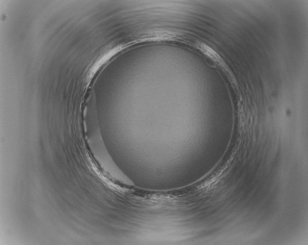 X0000052980842200507221325