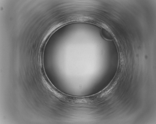 X0000052980843200507221325