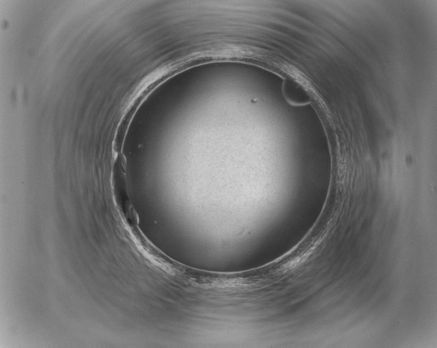 X0000052980845200507221325