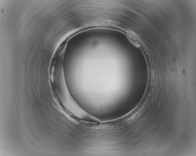 X0000052980846200507221325