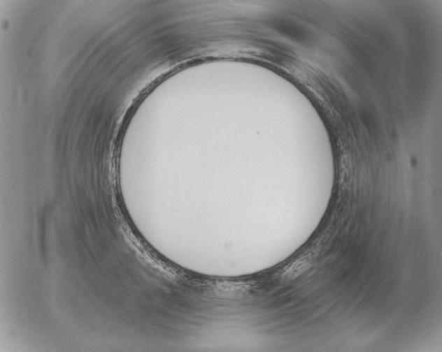 X0000052980848200507221325