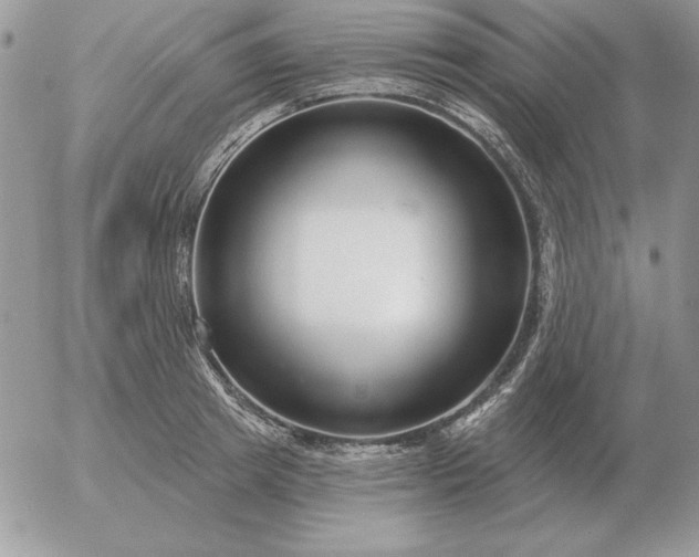 X0000052980849200507221325