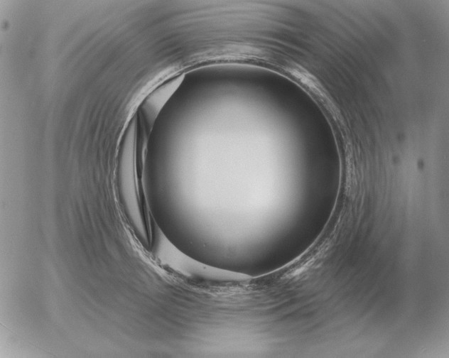 X0000052980850200507221326