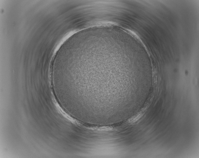 X0000052980851200507221326