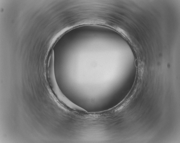 X0000052980854200507221326