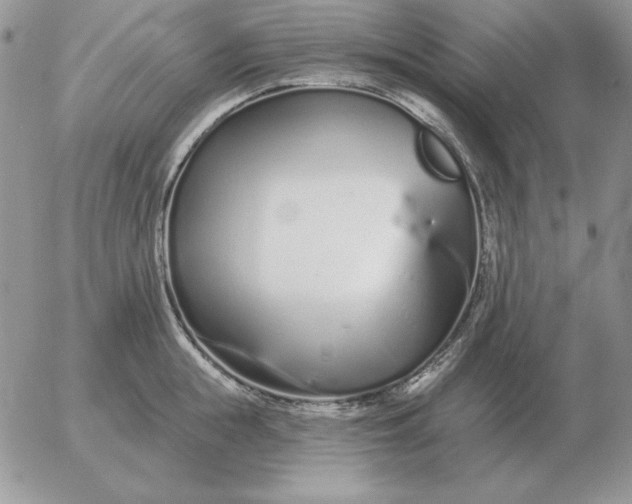 X0000052980855200507221326