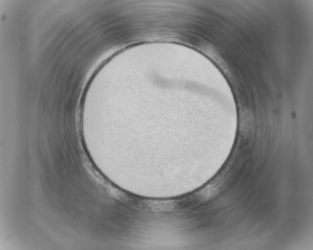 X0000052980856200507221326