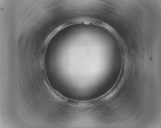 X0000052980857200507221326