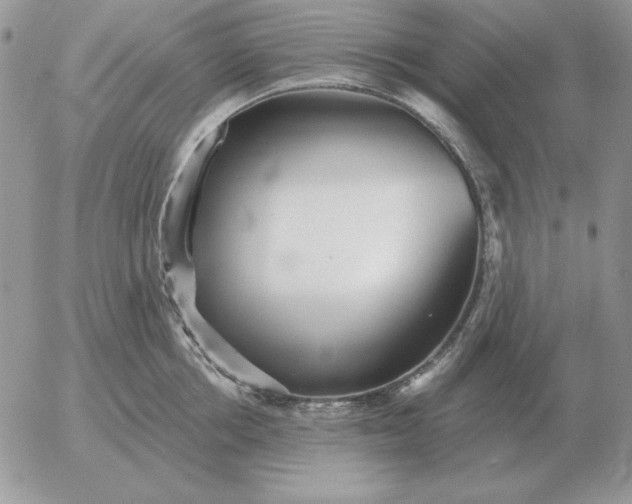 X0000052980858200507221326