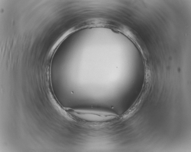 X0000052980859200507221326