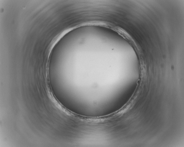 X0000052980860200507221326