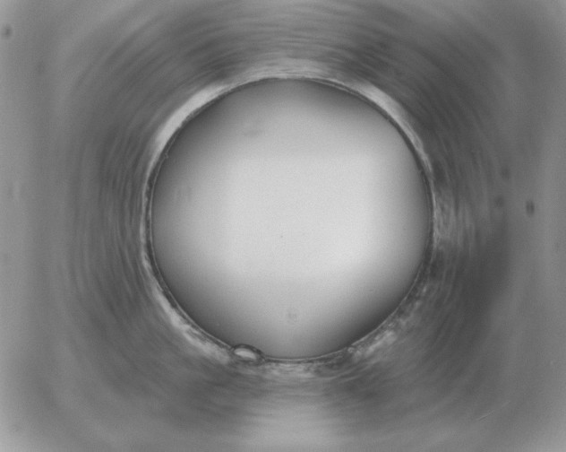 X0000052980861200507221326