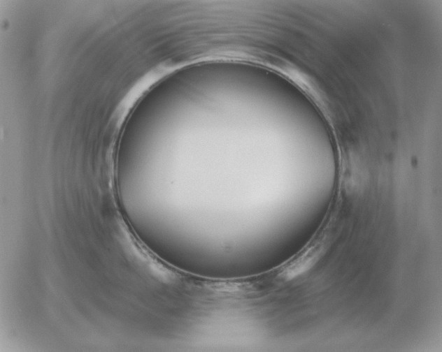 X0000052980862200507221326