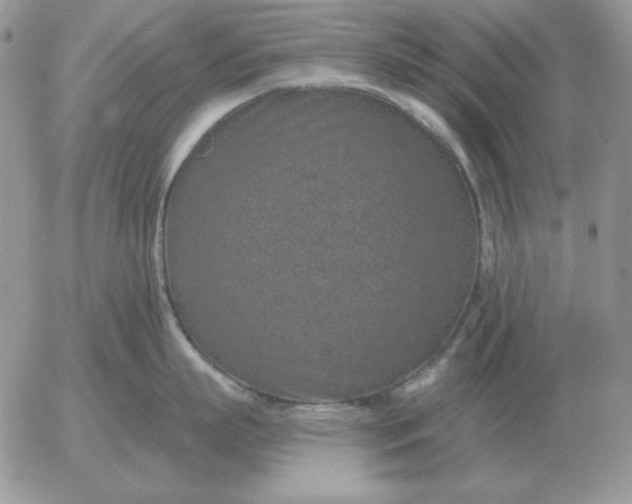 X0000052980863200507221326