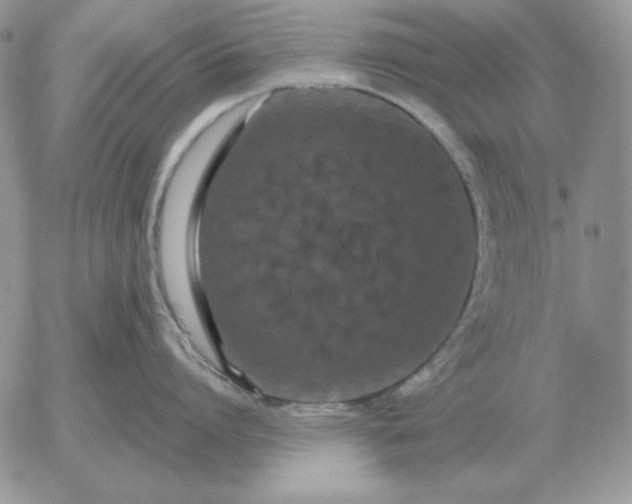 X0000052980864200507221326