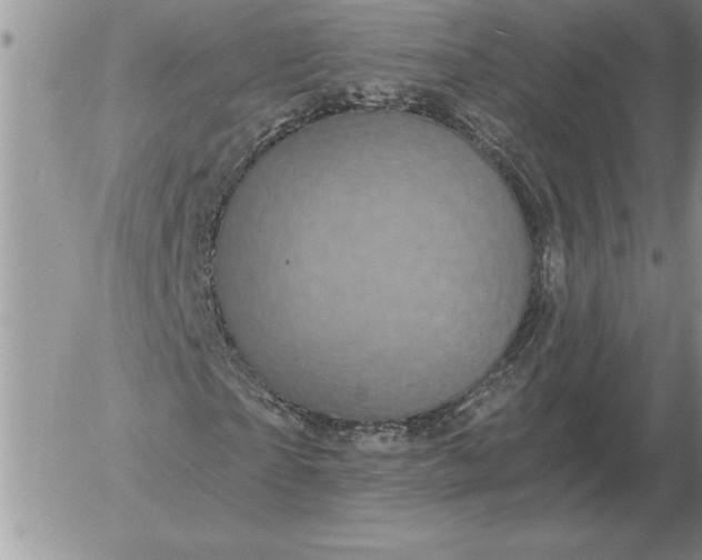 X0000052980865200507221325