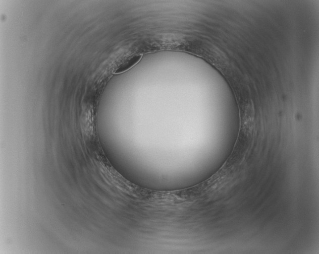 X0000052980866200507221325