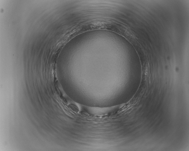 X0000052980868200507221325