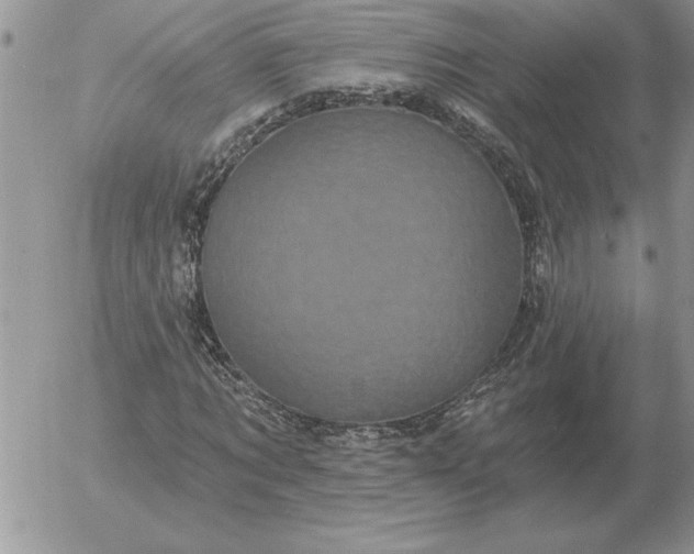 X0000052980869200507221325