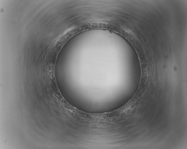 X0000052980870200507221325