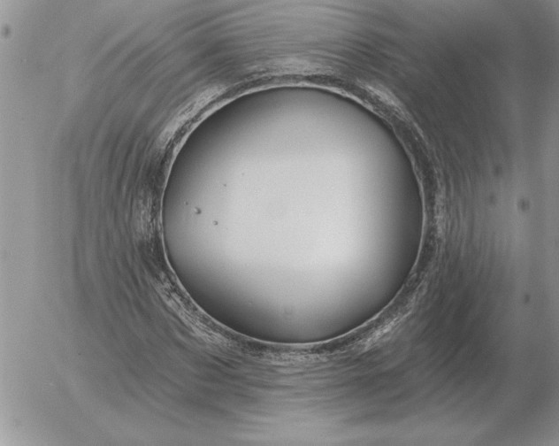 X0000052980873200507221325