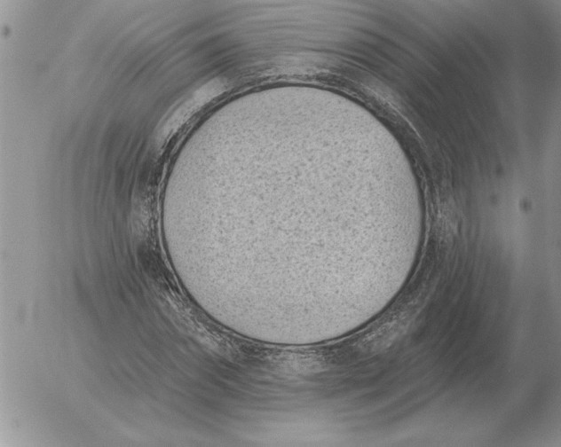 X0000052980874200507221325