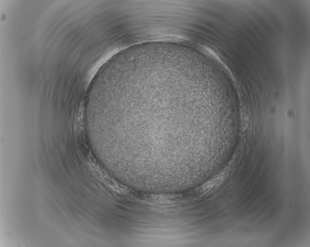 X0000052980875200507221325