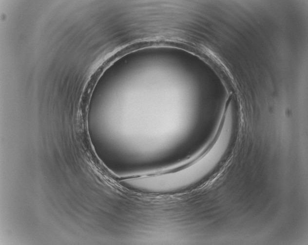 X0000052980876200507221325