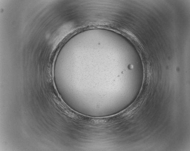 X0000052980878200507221325