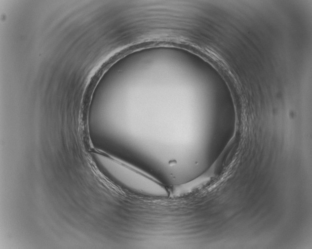 X0000052980880200507221325