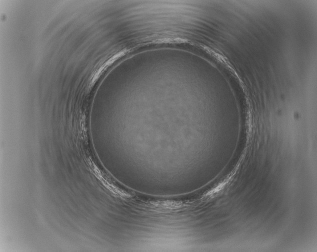 X0000052980881200507221325