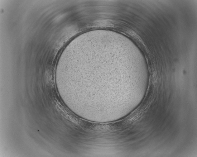 X0000052980882200507221325