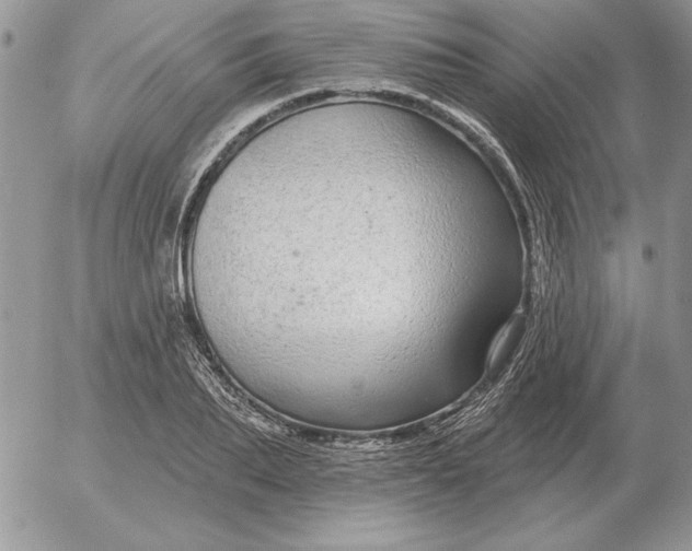 X0000052980887200507221325