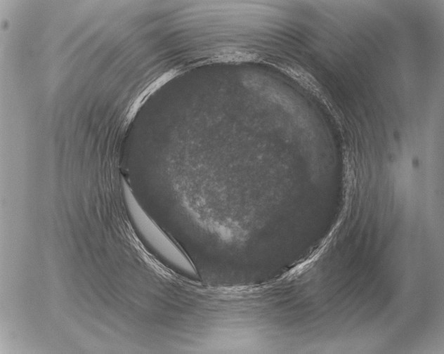 X0000052980889200507221325