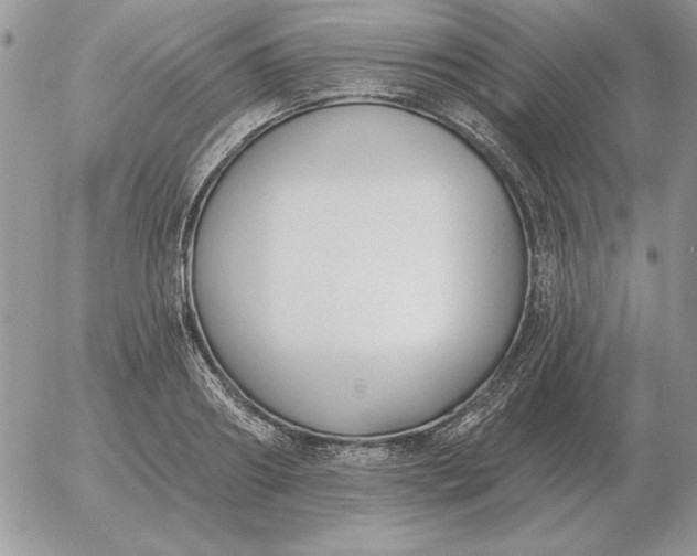 X0000052980890200507221325