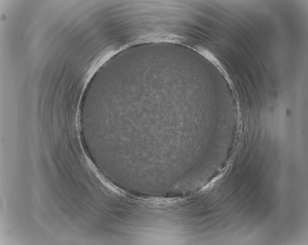 X0000052980893200507221324