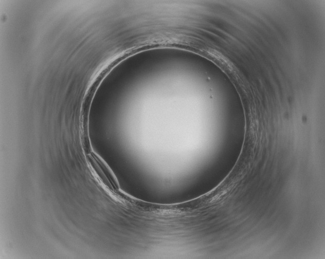 X0000052980894200507221324