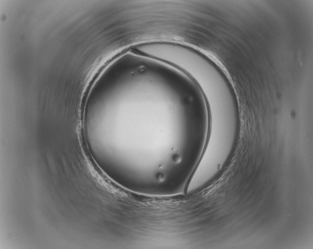 X0000052980895200507221324