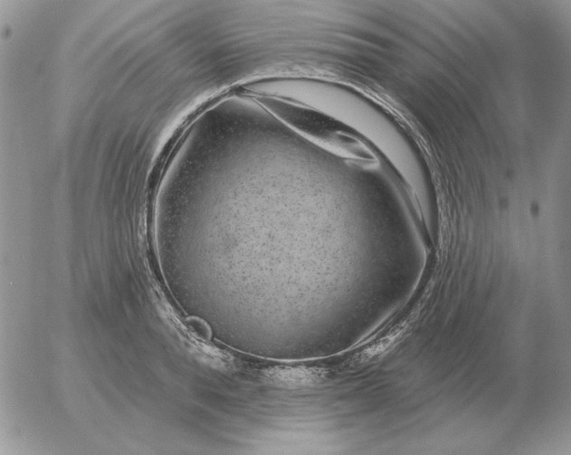 X0000052980896200507221324