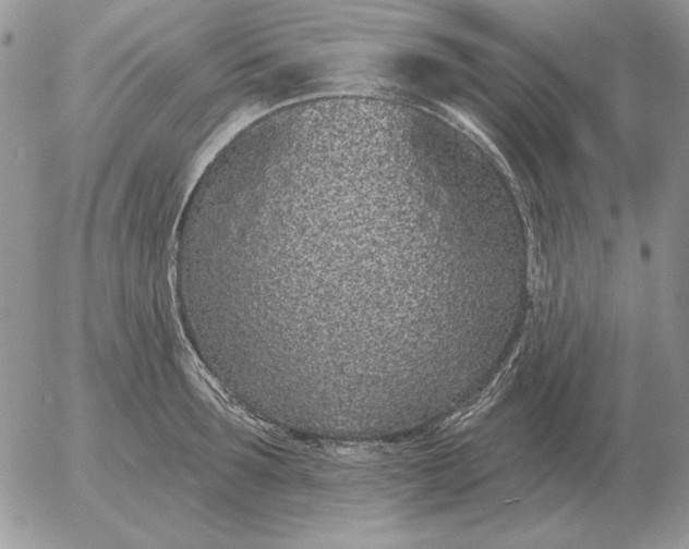 X0000052980899200507221324