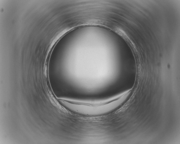 X0000052980900200507221324