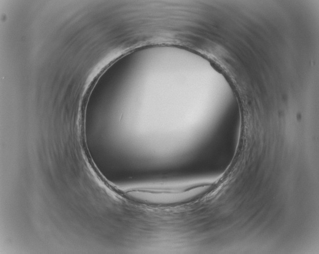 X0000052980902200507221324